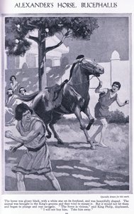 El caballo de Alejandro, Bucéfalo: el caballo era negro brillante con una estrella blanca en la frente, c.1950 (litografía) de Thomas Heath Robinson