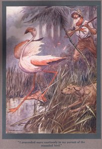 Procedí con más cautela en mi persecución del pájaro herido (litografía en color) de Thomas Heath Robinson