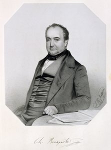 Charles Lucien Jules Laurent Bonaparte, Príncipe de Canino y Musignano (1803-57) 1850 de Thomas Herbert Maguire