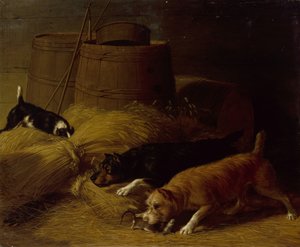 Ratas entre las gavillas de cebada, 1851 de Thomas Hewes Hinckley