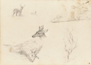Cuaderno de bocetos de paisajes y animales, 1860-64 de Thomas Hewes Hinckley