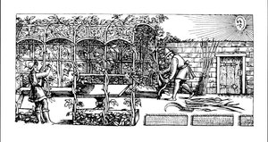 Pérgola siendo construida como sombra contra el sol, de 