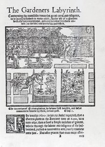 Pérgola construida como sombra contra el sol y plantación en camas elevadas, de The Gardeners Labyrinth, 1577