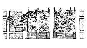 Plantación en camas elevadas, de 