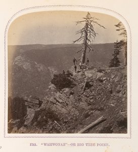 "Wahwonah" - O Big Tree Point de Thomas Houseworth