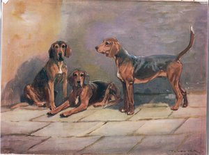 Perros, ilustración de 