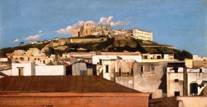 Vista de la Certosa di San Martino con el Castel Sant