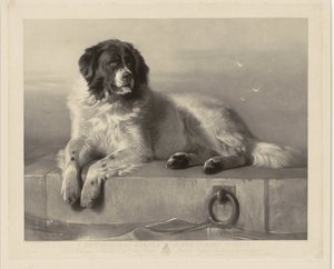 Retrato del perro de rescate Bob, acostado en un muelle Un miembro distinguido de la Sociedad Protectora de Animales (título sobre el objeto) de Thomas Landseer