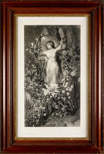 Flora de Thomas Lewis Atkinson