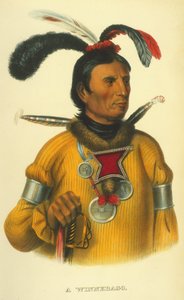 Un Winnebago, 1854