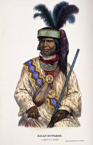 Billy-Bowlegs, un jefe seminola, 1899 de Thomas Loraine McKenney