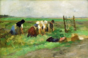 Trabajadores del campo, c.1900