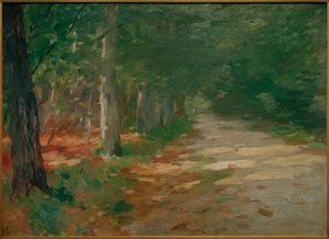 Camino forestal con manchas de sol de Thomas Ludwig Herbst