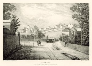 Hern Hill, Londres de Thomas Mann Baynes