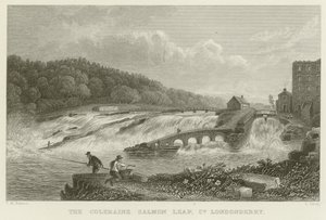 El salto del salmón en Coleraine de Thomas Mann Baynes