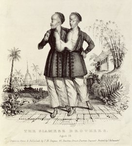 Los Hermanos Siameses, de 18 años, impreso por Charles Hullmandel, c.1829