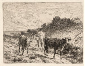 vacas de Thomas Moran