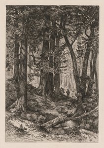 Interior de un bosque californiano (según Thomas Moran (estadounidense de Thomas Moran