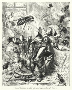 Ilustración de Los viajes de Gulliver de Jonathan Swift de Thomas Morten