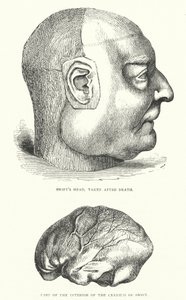 Ilustración de la vida de Jonathan Swift (grabado) de Thomas Morten
