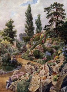 Jardines de Kew: En el jardín de rocas