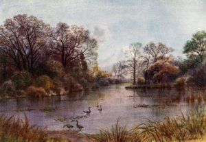 Jardines de Kew: El lago