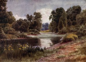 Jardines de Kew: El Lago, mirando al sur de Thomas Mower Martin