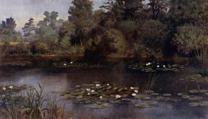 Jardines de Kew: El estanque de lirios de agua de Thomas Mower Martin