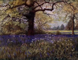 Jardines de Kew: Jacintos silvestres de Thomas Mower Martin