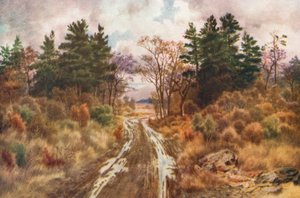 Carretera cerca de la bahía de Fundy, otoño (litografía en color)