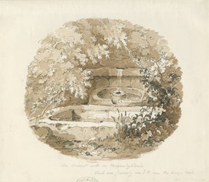 Biddulph - Pozo antiguo en los bosques de Knypersley: dibujo en sepia