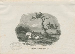 Chartley Hall - Parque