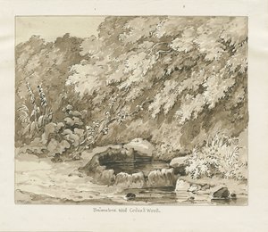 Codsall Wood - Brimstone Well de Thomas Peploe Wood
