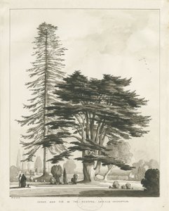 Rectoría de Haughton