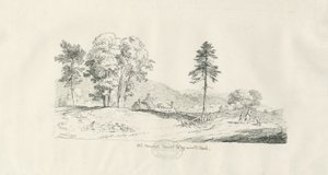 Parque de Haywood - Antigua Casa Solariega: dibujo a pluma y tinta de Thomas Peploe Wood