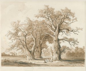 Teddesley Hall - Robles