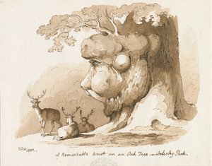Parque de Wolseley - Nudo en un roble: dibujo a pluma y sepia de Thomas Peploe Wood
