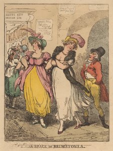 Un par de mariposas amarillas de Thomas Rowlandson