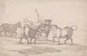 Un grupo de cinco toros a punto de pelear de Thomas Rowlandson