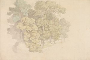 Un grupo de árboles de Thomas Rowlandson