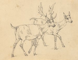 Dibujo del álbum
