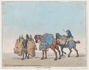 Caballos de Cornualles