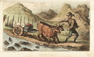 Alférez Johnny Newcome, enfermo de disentería, llevado en carreta de bueyes a Salamanca, España de Thomas Rowlandson