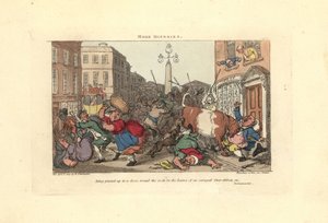 Hombre clavado a una puerta por los cuernos de un buey enfurecido de Thomas Rowlandson