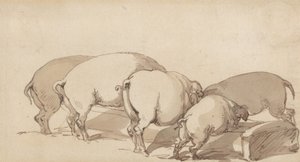 Cerdos en un comedero de Thomas Rowlandson