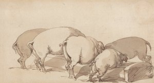 Cerdos en un comedero, c.1790 de Thomas Rowlandson