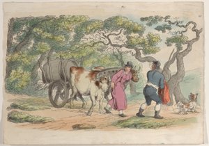 Placa 40, de Mundo en Miniatura, 1816 de Thomas Rowlandson