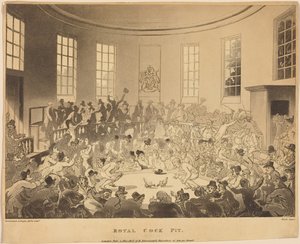 Royal Cock Pit de Thomas Rowlandson