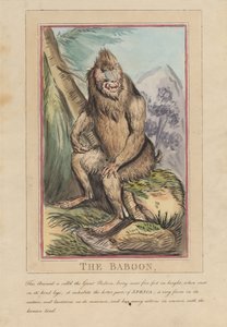 Conjunto de ocho láminas con portada. «Animales extranjeros y autóctonos». 2. El león de Thomas Rowlandson