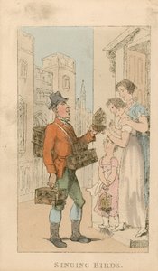 Pájaros Cantores de Thomas Rowlandson
